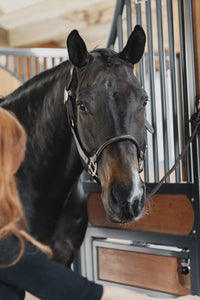 Kentucky Nekstuk Anatomic Leather Halster Brown Halster accesoires - Maddelin Equestrian Kentucky