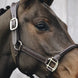 Kentucky Nekstuk Anatomic Leather Halster Brown Halster accesoires - Maddelin Equestrian Kentucky