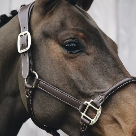 Kentucky Nekstuk Anatomic Leather Halster Brown Halster accesoires - Maddelin Equestrian Kentucky