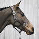Kentucky Nekstuk Anatomic Leather Halster Brown Halster accesoires - Maddelin Equestrian Kentucky