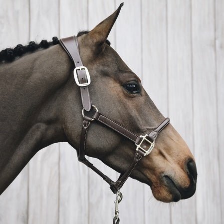 Kentucky Nekstuk Anatomic Leather Halster Brown Halster accesoires - Maddelin Equestrian Kentucky