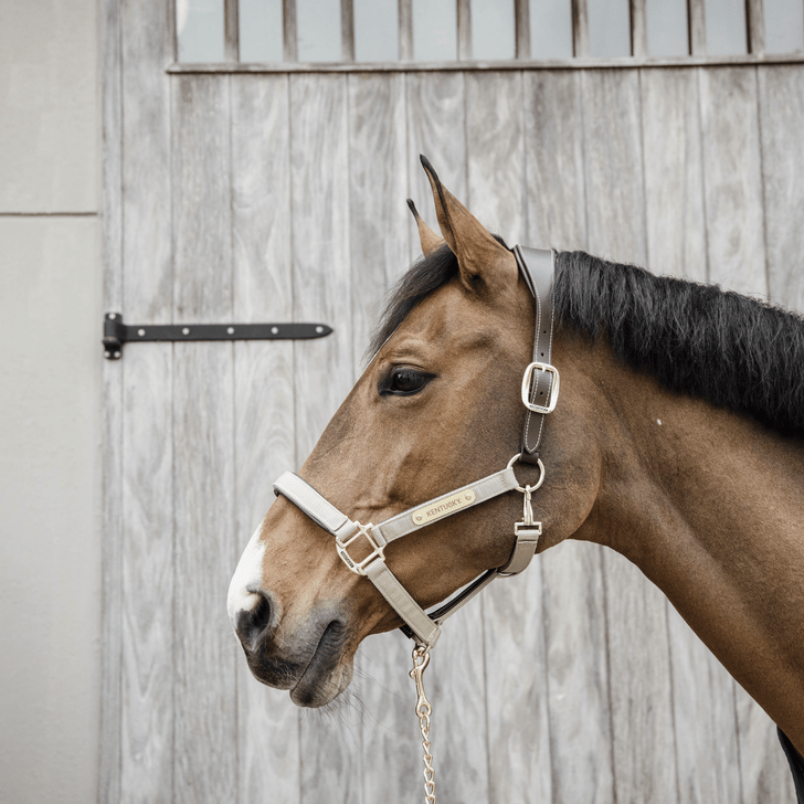 Kentucky Nylon Anatomic Halter Nylon halsters - Maddelin Equestrian Kentucky