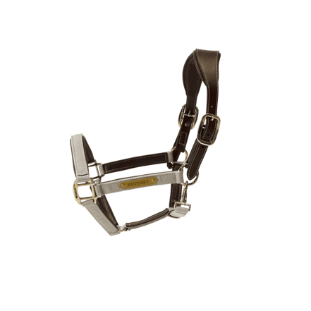 Kentucky Nylon Anatomic Halter Nylon halsters - Maddelin Equestrian Kentucky