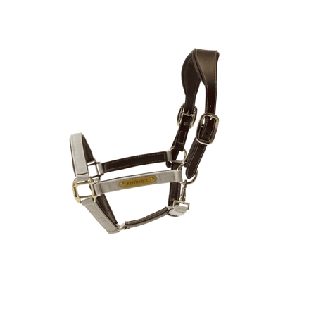 Kentucky Nylon Anatomic Halter Nylon halsters - Maddelin Equestrian Kentucky