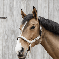 Kentucky Nylon Anatomic Halter Nylon halsters - Maddelin Equestrian Kentucky