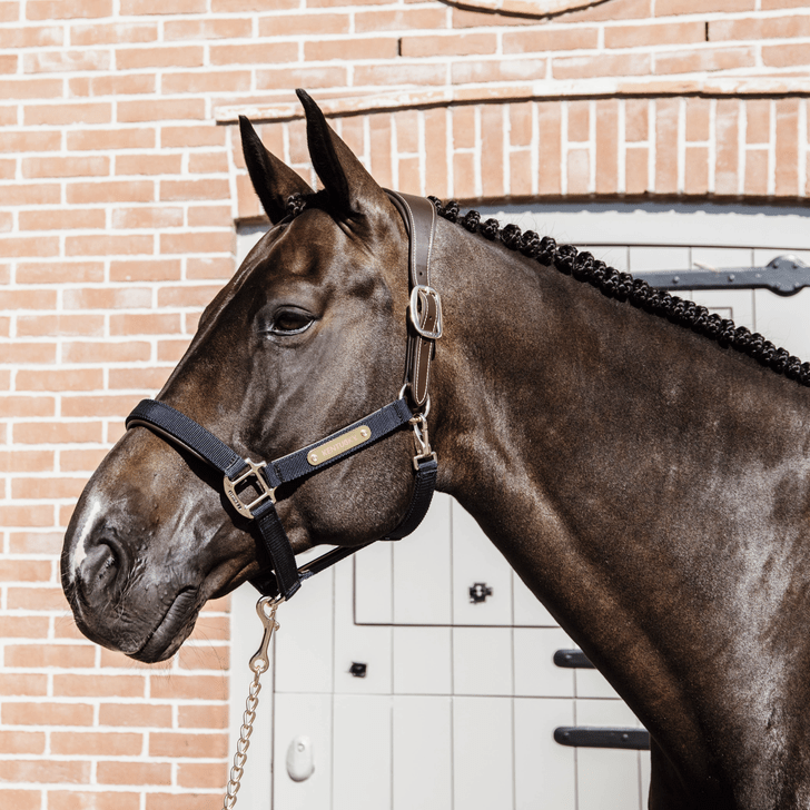 Kentucky Nylon Anatomic Halter Nylon halsters - Maddelin Equestrian Kentucky