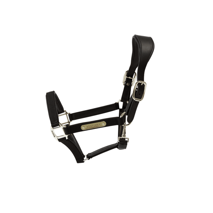 Kentucky Nylon Anatomic Halter Nylon halsters - Maddelin Equestrian Kentucky