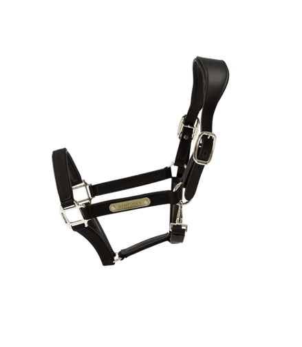 Kentucky Nylon Anatomic Halter Nylon halsters - Maddelin Equestrian Kentucky