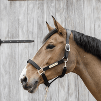 Kentucky Nylon Anatomic Halter Nylon halsters - Maddelin Equestrian Kentucky