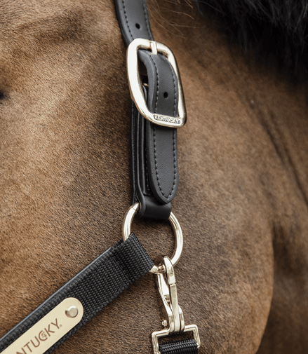 Kentucky Nylon Anatomic Halter Nylon halsters - Maddelin Equestrian Kentucky