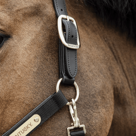 Kentucky Nylon Anatomic Halter Nylon halsters - Maddelin Equestrian Kentucky