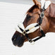 Kentucky Nylon Sheepskin Halter Soft Halster met wol of faux fur - Maddelin Equestrian Kentucky