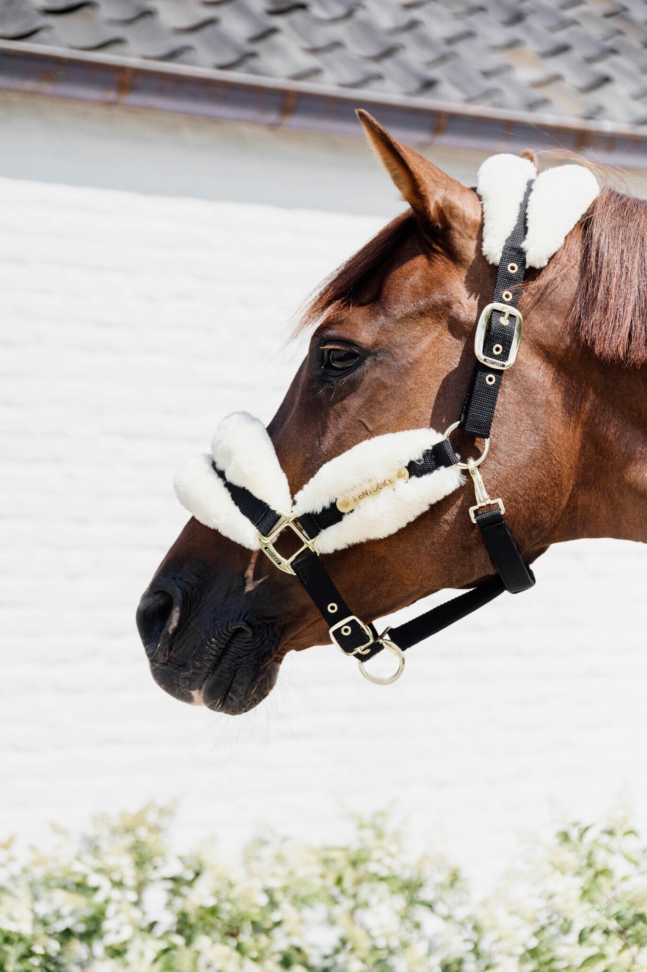 Kentucky Nylon Sheepskin Halter Soft Halster met wol of faux fur - Maddelin Equestrian Kentucky