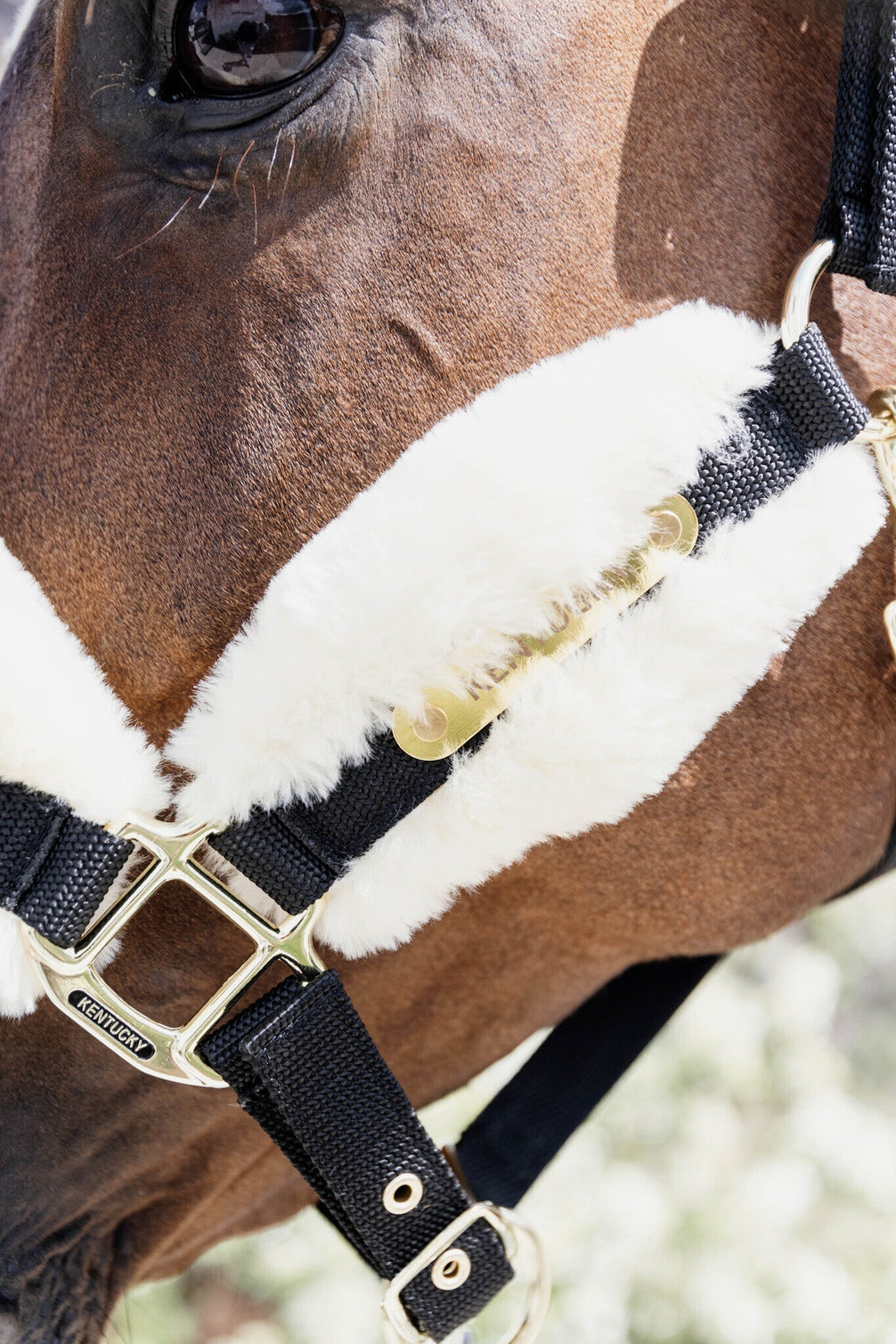 Kentucky Nylon Sheepskin Halter Soft Halster met wol of faux fur - Maddelin Equestrian Kentucky
