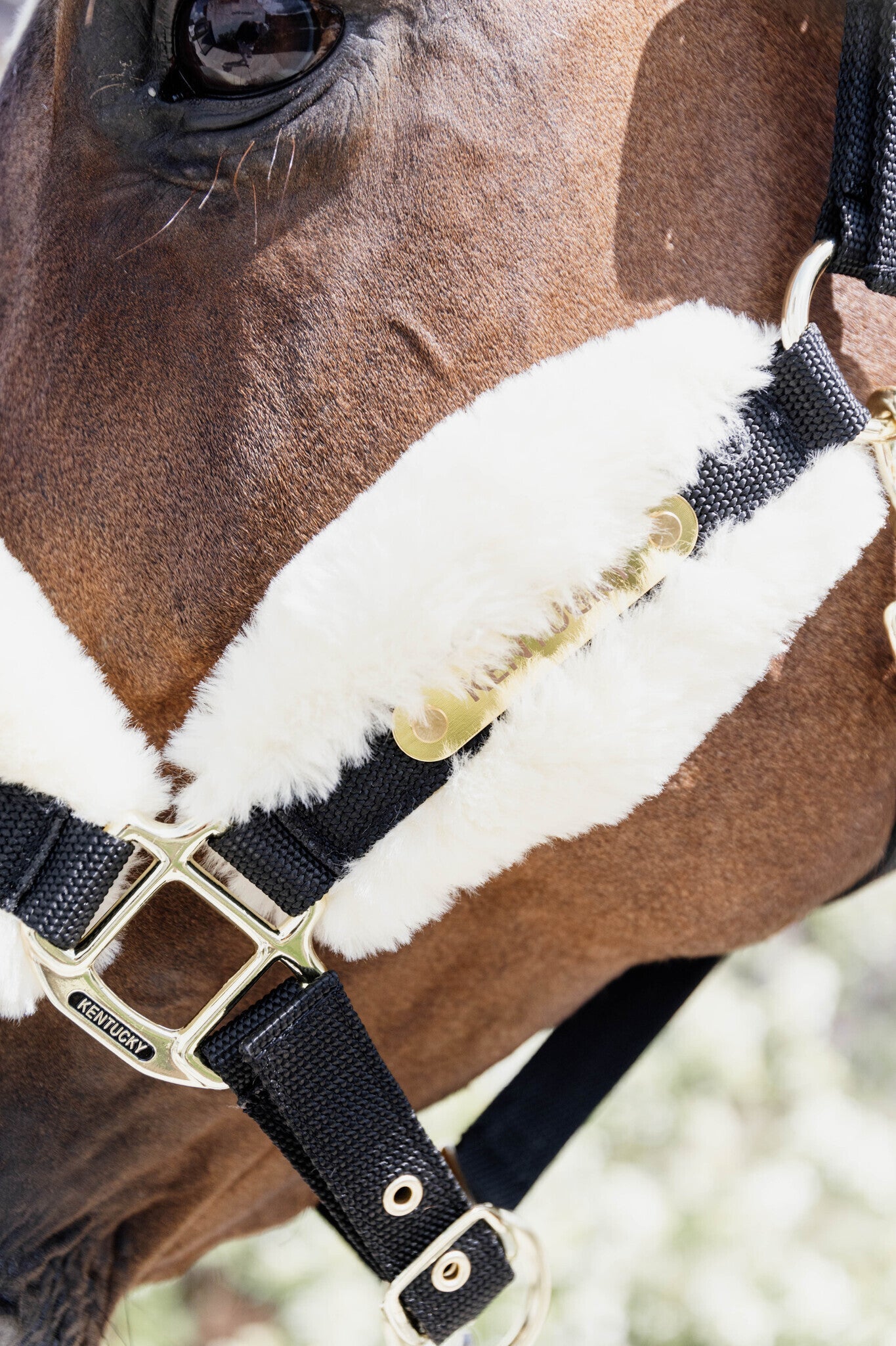 Kentucky Nylon Sheepskin Halter Soft Halster met wol of faux fur - Maddelin Equestrian Kentucky