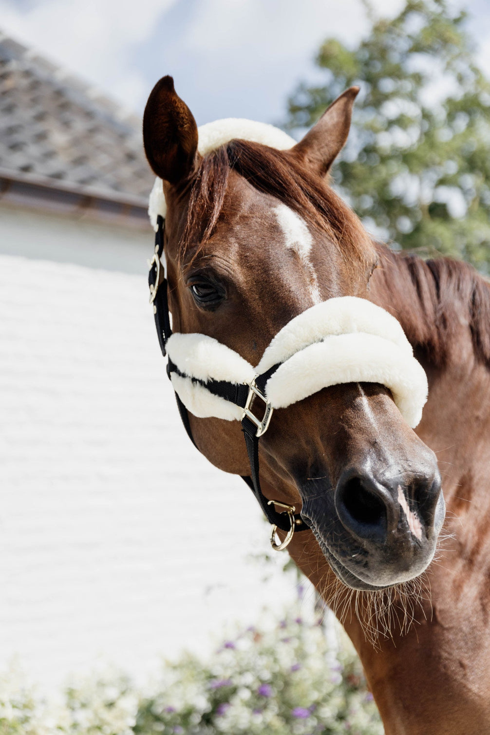 Kentucky Nylon Sheepskin Halter Soft Halster met wol of faux fur - Maddelin Equestrian Kentucky