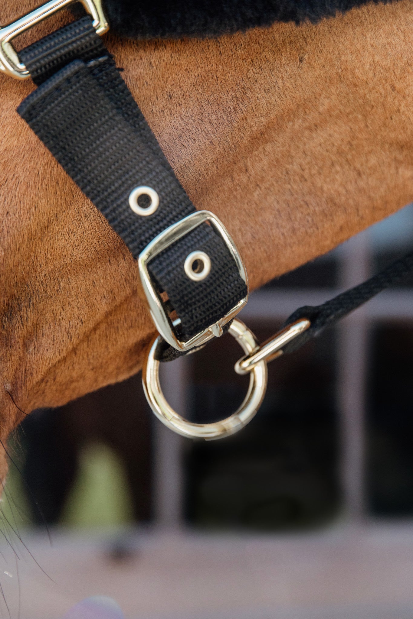 Kentucky Nylon Sheepskin Halter Soft Halster met wol of faux fur - Maddelin Equestrian Kentucky