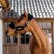 Kentucky Nylon Sheepskin Halter Soft Halster met wol of faux fur - Maddelin Equestrian Kentucky