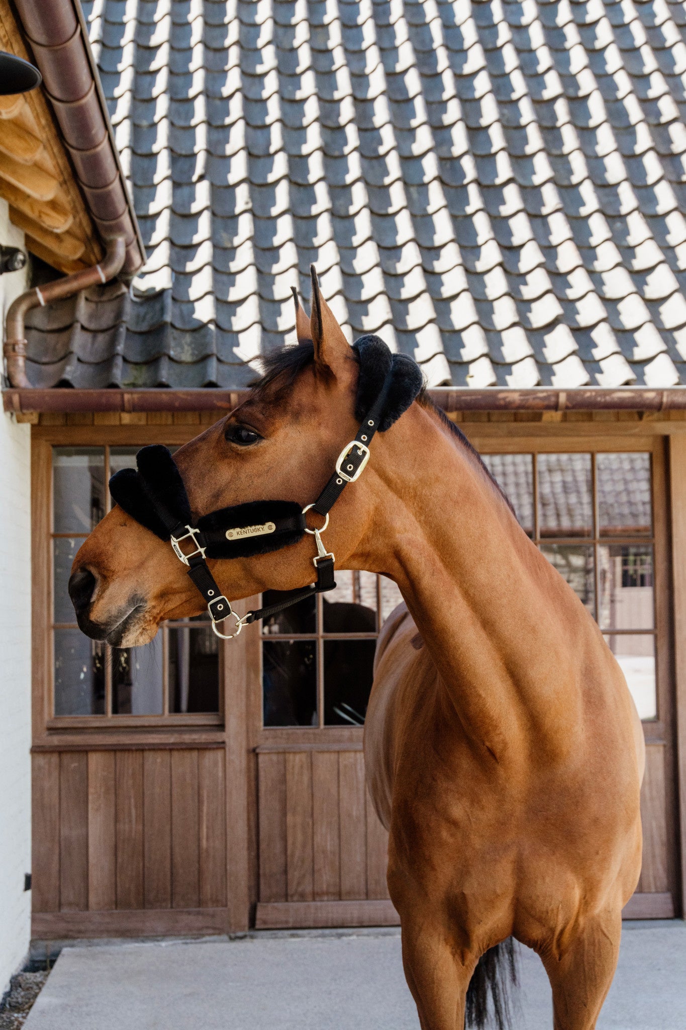 Kentucky Nylon Sheepskin Halter Soft Halster met wol of faux fur - Maddelin Equestrian Kentucky