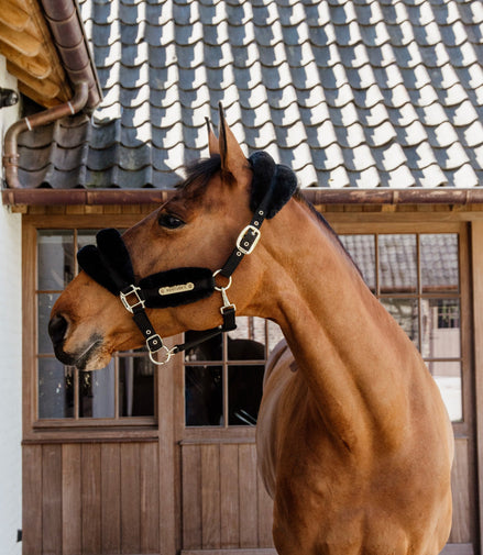 Kentucky Nylon Sheepskin Halter Soft Halster met wol of faux fur - Maddelin Equestrian Kentucky