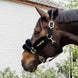 Kentucky Nylon Sheepskin Halter Soft Halster met wol of faux fur - Maddelin Equestrian Kentucky
