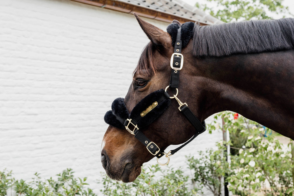 Kentucky Nylon Sheepskin Halter Soft Halster met wol of faux fur - Maddelin Equestrian Kentucky