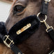 Kentucky Nylon Sheepskin Halter Soft Halster met wol of faux fur - Maddelin Equestrian Kentucky