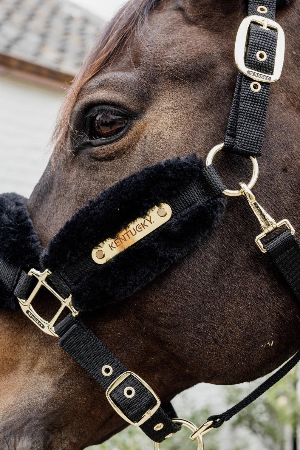 Kentucky Nylon Sheepskin Halter Soft Halster met wol of faux fur - Maddelin Equestrian Kentucky