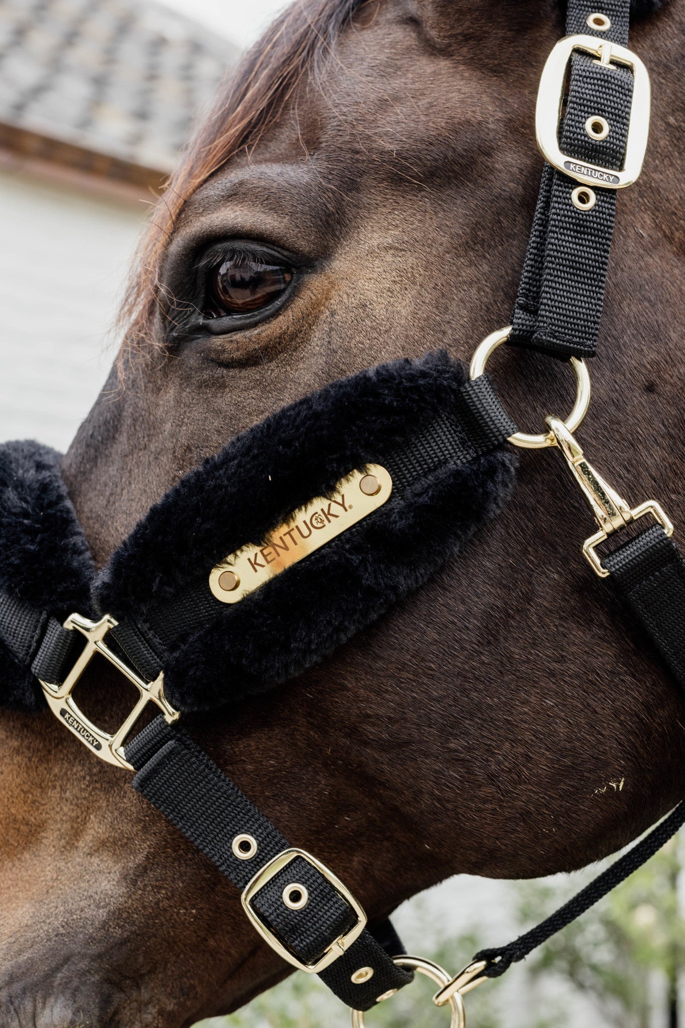 Kentucky Nylon Sheepskin Halter Soft Halster met wol of faux fur - Maddelin Equestrian Kentucky