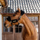 Kentucky Nylon Sheepskin Halter Soft Halster met wol of faux fur - Maddelin Equestrian Kentucky