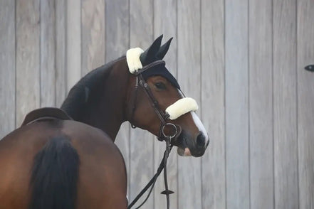 Kentucky Oornetje Black Oornetjes - Maddelin Equestrian Kentucky