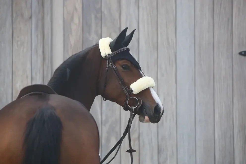 Kentucky Oornetje Black Oornetjes - Maddelin Equestrian Kentucky