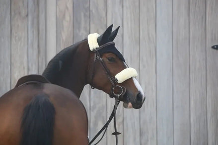 Kentucky Oornetje Black Oornetjes - Maddelin Equestrian Kentucky