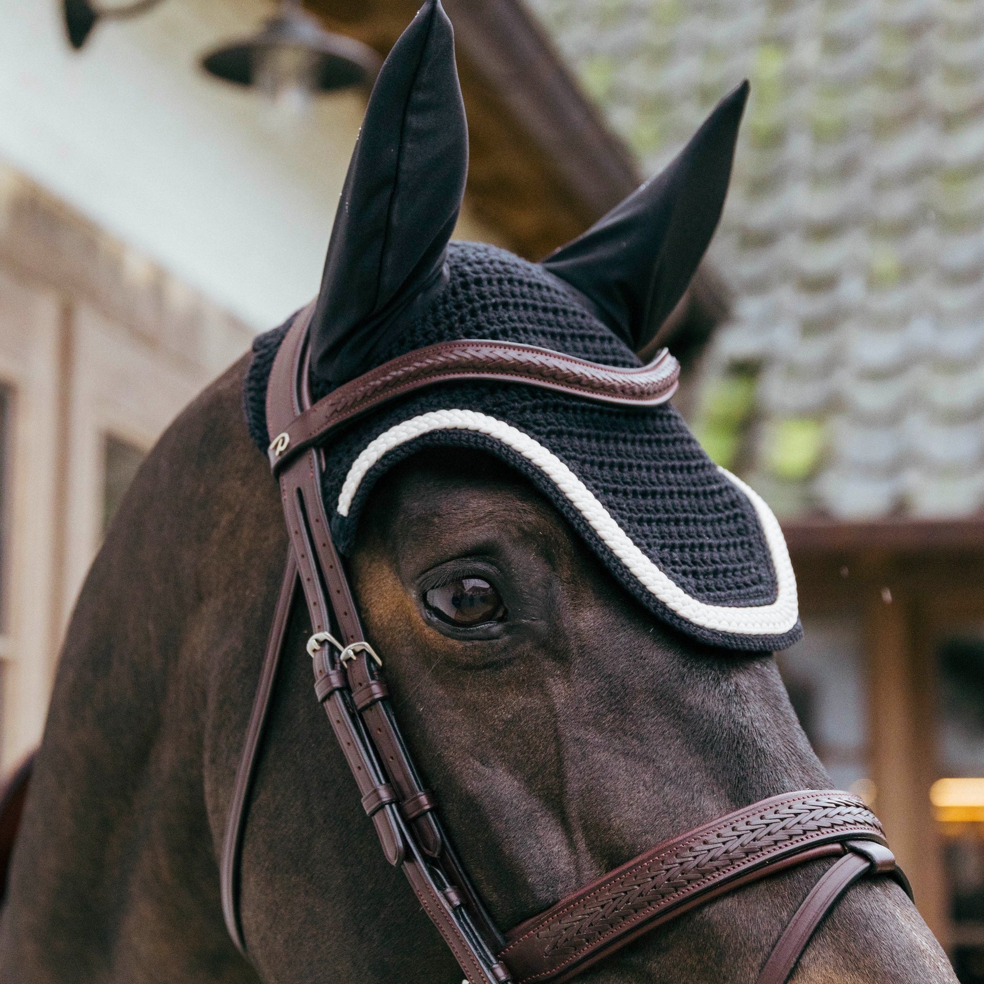 Kentucky Oornetje Wellington Plaited Cord Oornetjes - Maddelin Equestrian Kentucky