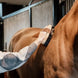 Kentucky Overall Brush Borstels & toebehoren - Maddelin Equestrian Kentucky