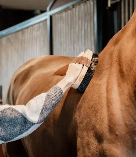 Kentucky Overall Brush Borstels & toebehoren - Maddelin Equestrian Kentucky