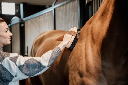 Kentucky Overall Brush Borstels & toebehoren - Maddelin Equestrian Kentucky