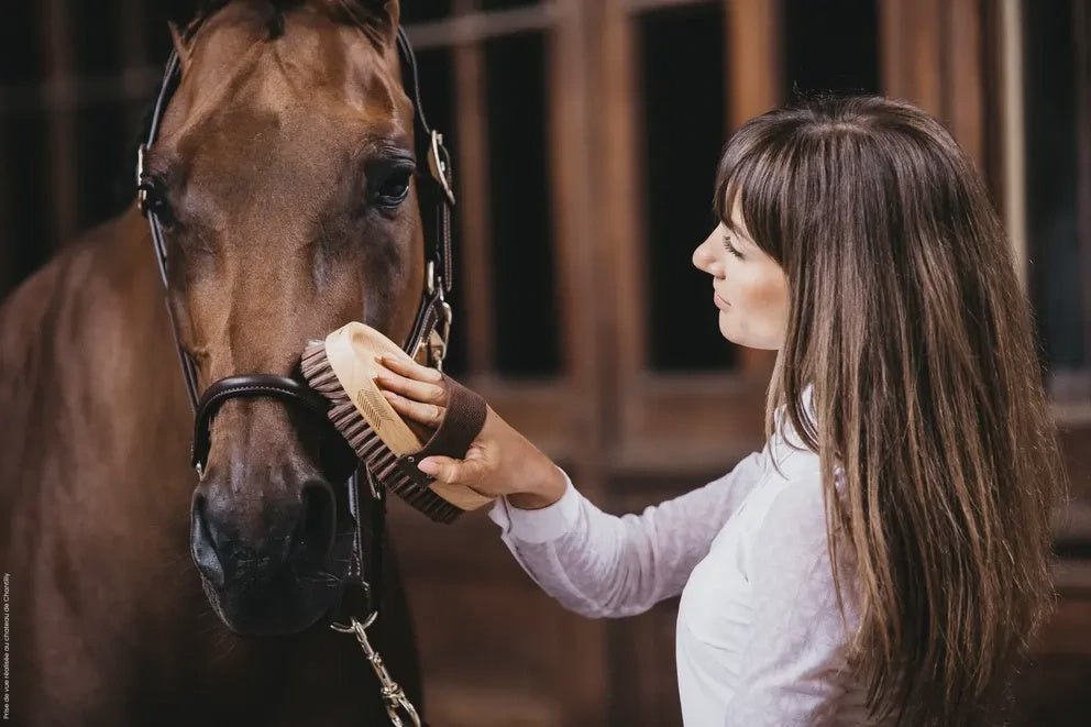 Kentucky Overall Brush Borstels & toebehoren - Maddelin Equestrian Kentucky