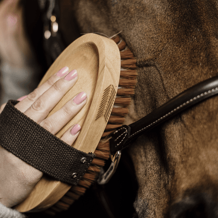 Kentucky Overall Brush Borstels & toebehoren - Maddelin Equestrian Kentucky