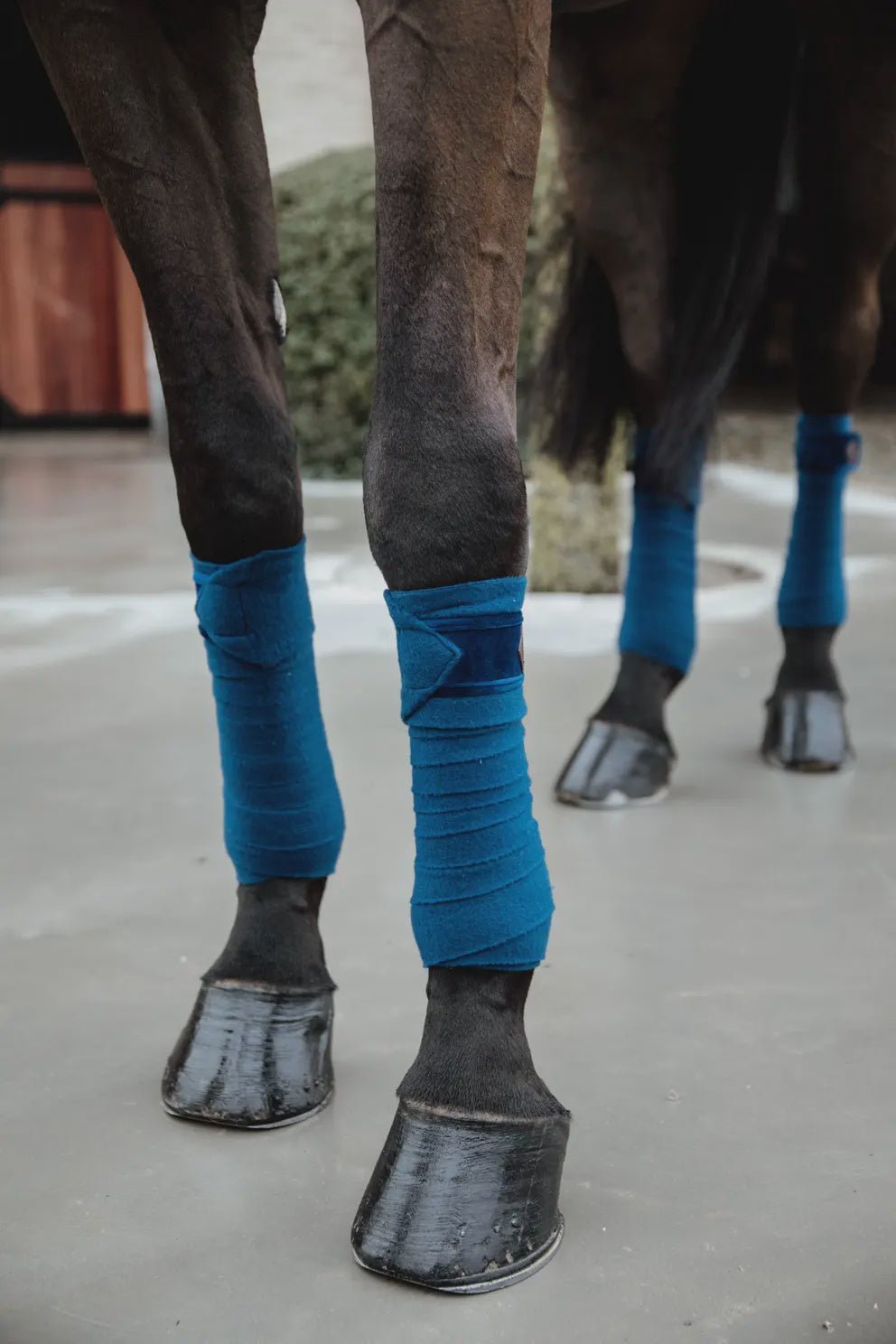 Kentucky Polar Fleece Bandages Basic Velvet Bandages - Maddelin Equestrian Kentucky