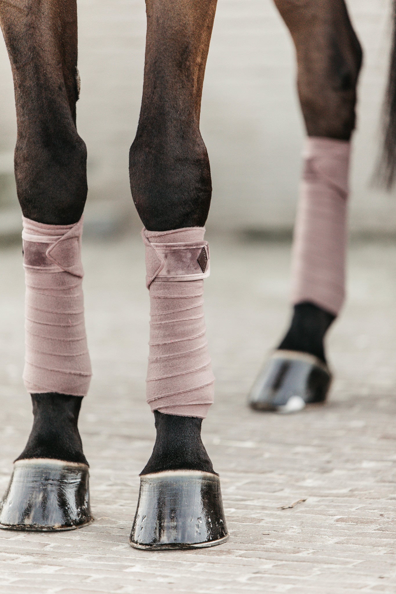 Kentucky Polar Fleece Bandages Velvet Bandages - Maddelin Equestrian Kentucky