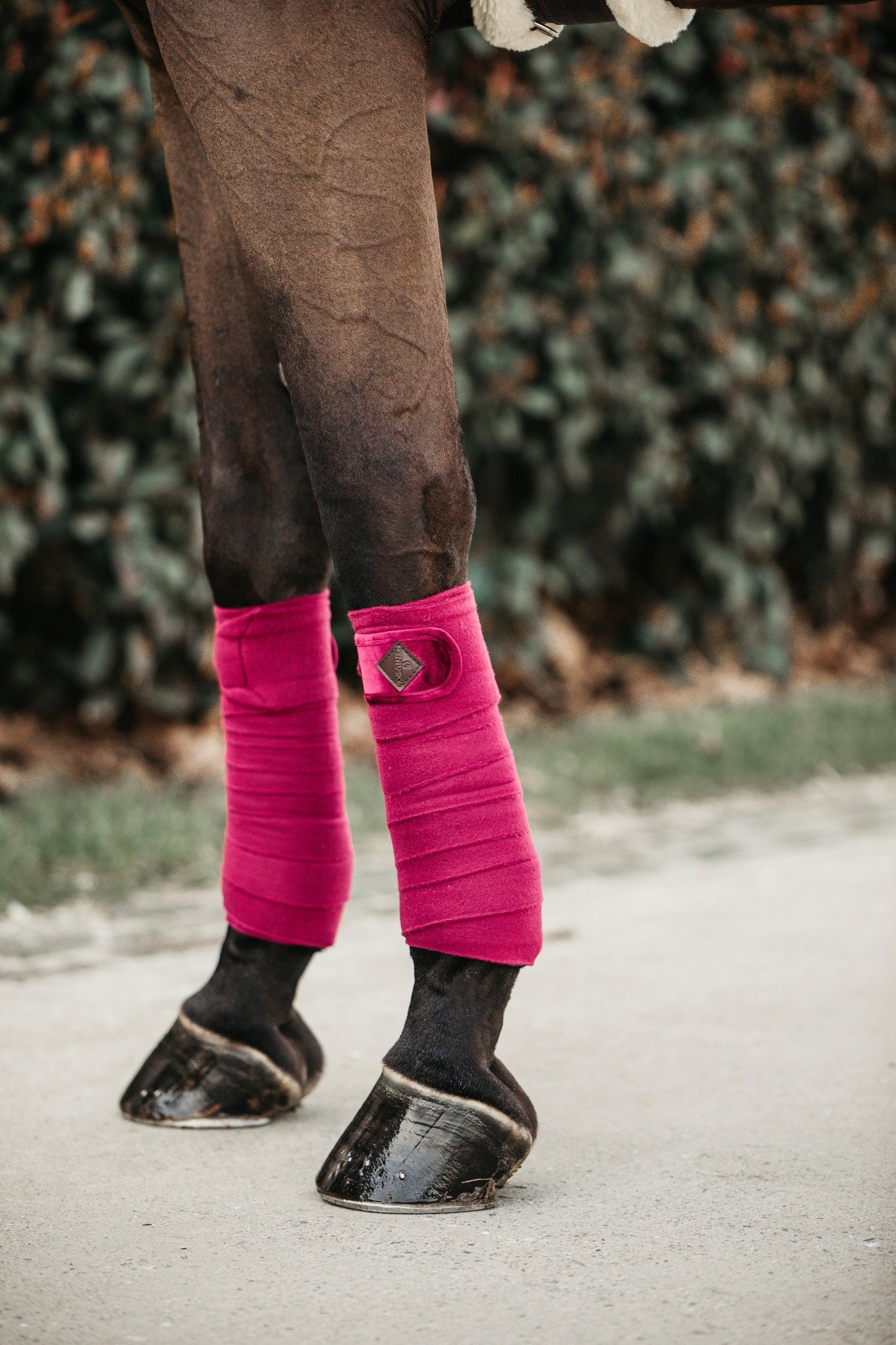 Kentucky Polar Fleece Bandages Velvet Bandages - Maddelin Equestrian Kentucky