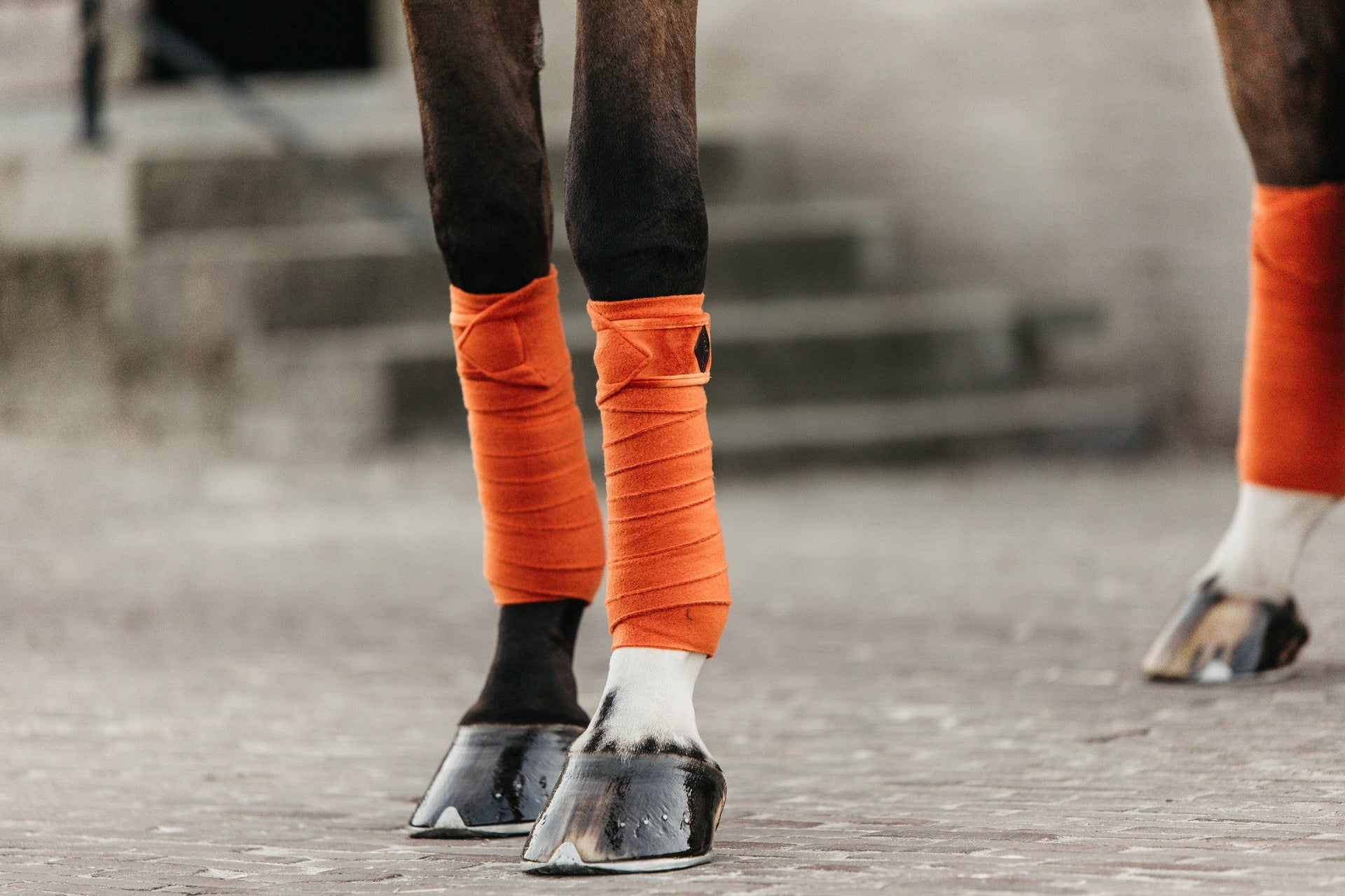 Kentucky Polar Fleece Bandages Velvet Bandages - Maddelin Equestrian Kentucky