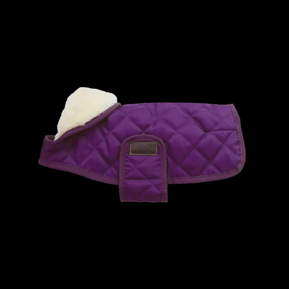Kentucky Regenjas Hond Paars Dogwear - Maddelin Equestrian Kentucky