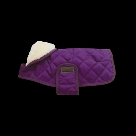 Kentucky Regenjas Hond Paars Dogwear - Maddelin Equestrian Kentucky