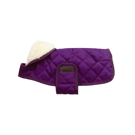 Kentucky Regenjas Hond Paars Dogwear - Maddelin Equestrian Kentucky