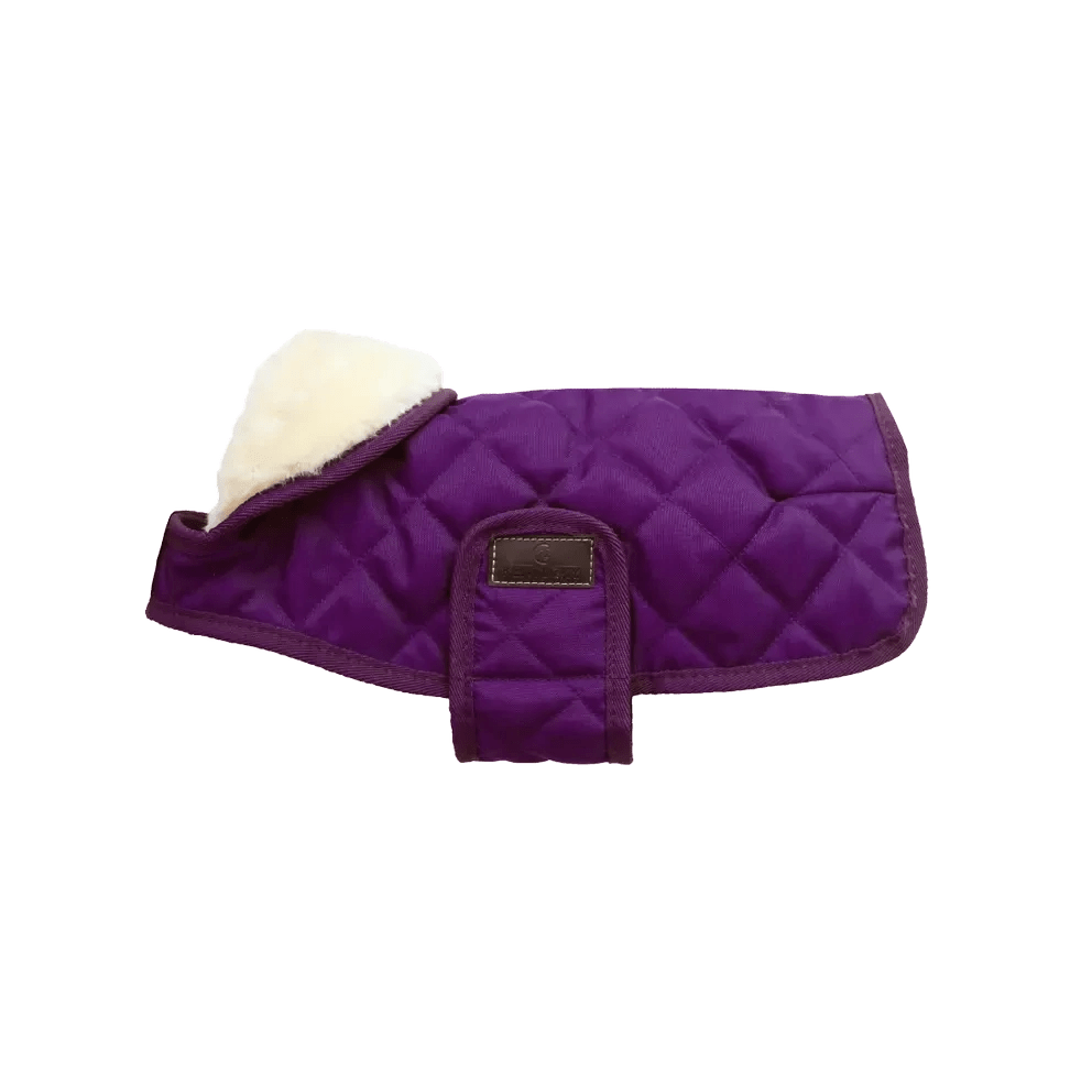 Kentucky Regenjas Hond Paars Dogwear - Maddelin Equestrian Kentucky