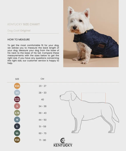 Kentucky Regenjas Hond Paars Dogwear - Maddelin Equestrian Kentucky