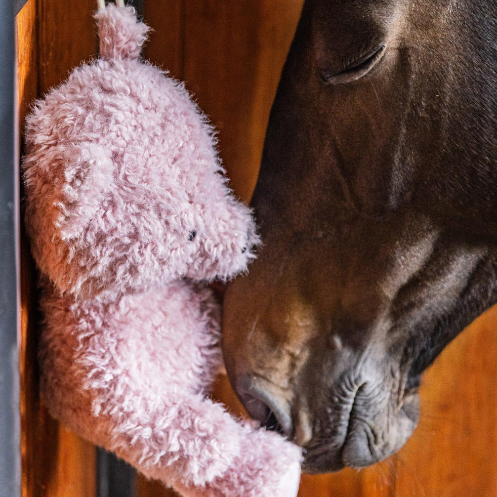 Kentucky Relax Horse Toy Bear Speelgoed voor paarden - Maddelin Equestrian Kentucky