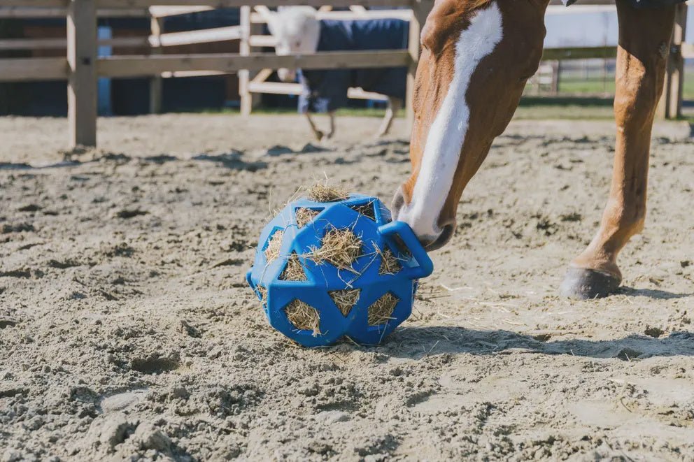 Kentucky Relax Paard Spel & Hooi Bal Speelgoed voor paarden - Maddelin Equestrian Kentucky